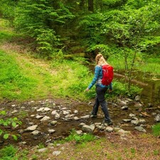 Komm runter - geh raus! / Foto: © Landesforsten Rheinland-Pfalz, Jonathan Fieber Komm runter - geh raus!